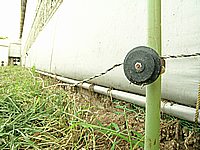 切ってしまった電柵