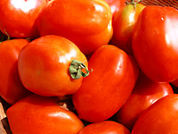 赤い料理トマト