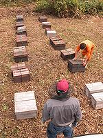 蜂箱を蜂場に降ろす作業