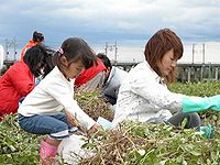 「キャー、寒いね」