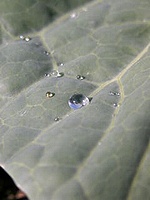 空気が澄んでいます