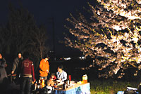 名残の桜・・・