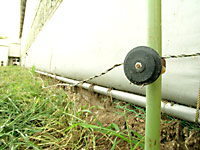 電気柵をするにはまず「除草」