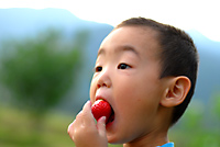 「自分でとった」いちごは美味しい