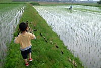 まてー