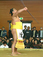 テレビの通りだ!