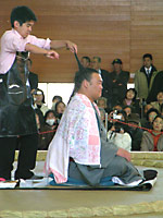 おおいちょう