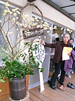 みつまたのアレンジメント