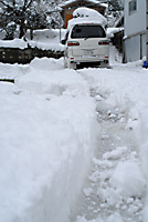 暖冬の合間の積雪
