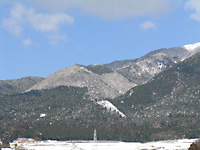 うっすら雪化粧