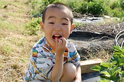 「みんなで食べたねん」