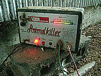 電気はビンビンだよー