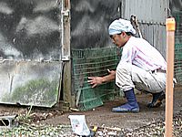 せっせと直してます