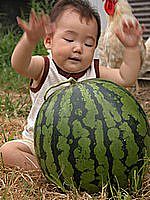 この音が美味しい音なのかぁ?
