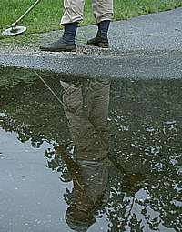 雨のあとは草刈り