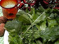 いきいき生野菜