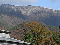 うっすらと雪化粧