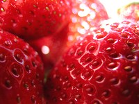 ڂɂr^~AB