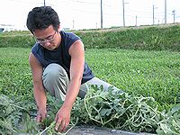 中田君のお仕事風景