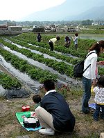 たくさんの人出です