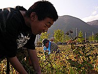 お茶目な一コマ