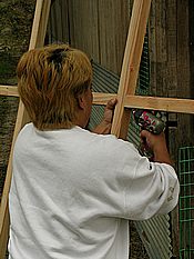 枠を作って