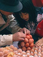 すべって括れないわぁ・・・