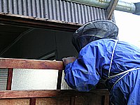 どこかなー