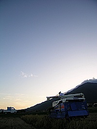 宴のあと