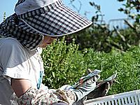 種蒔きです