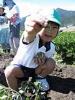こんなんとれた(^ー^)