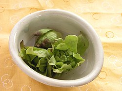 ちっちゃな春