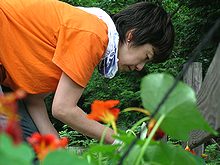 暑いのは人間だけではないからね・・
